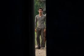 Image result for maze runner pinch between wall